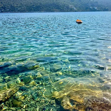 Marela *